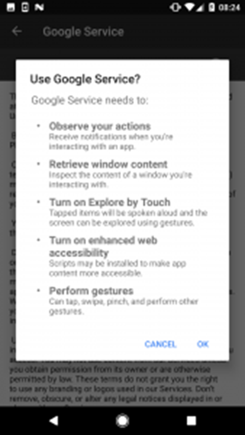 Figure 5 – Permissions required for the activation of “Google Service”