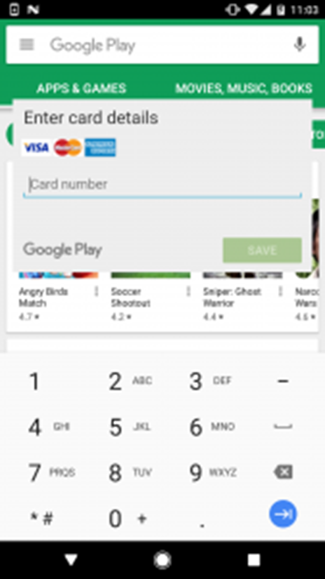 Figure 7 – Fake form requesting user’s credit card details
